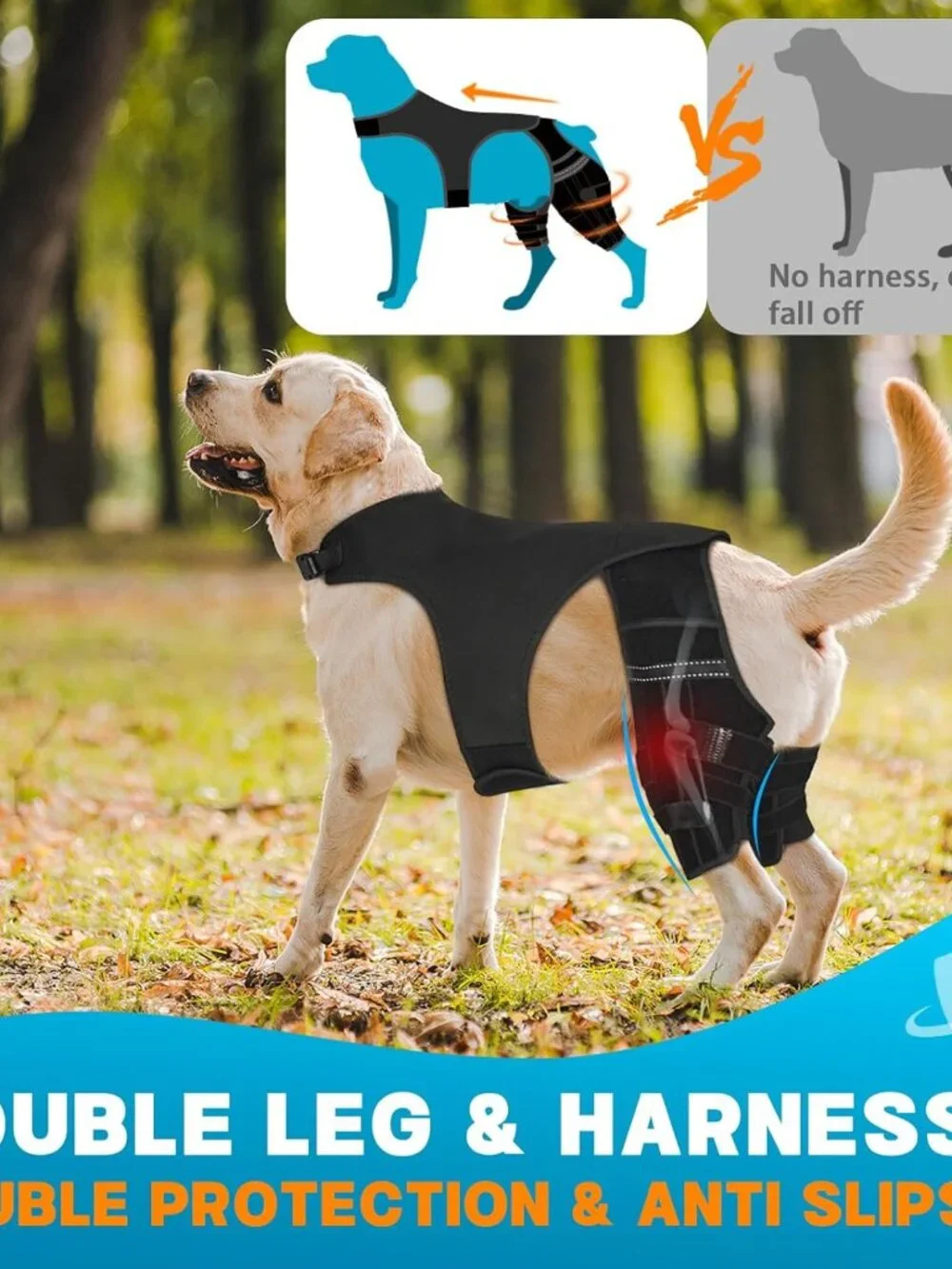 Dog Knee Brace for Torn Acl Hind Leg, 4 Stabilizers